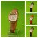 Fash385w-R510