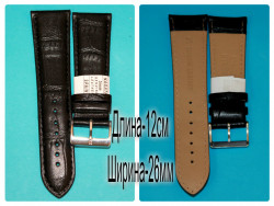 RNAG180w-R294-8