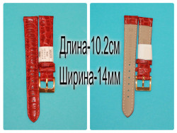 RNAG180w-R295-2