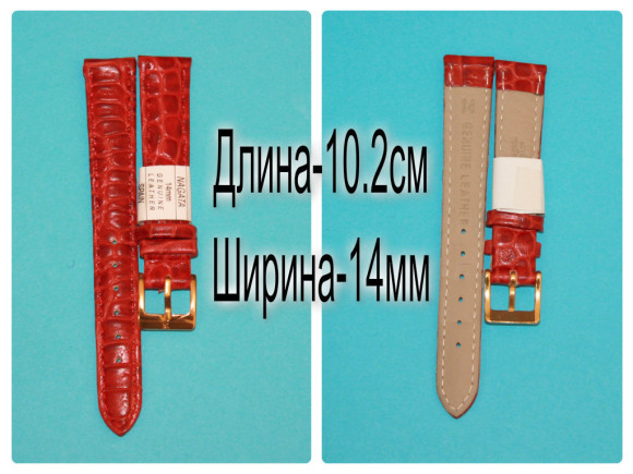 RNAG180w-R295-2