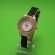 FASH-S280W-R359