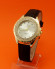 FASH600w-R406