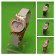 FASH-S280W-R342