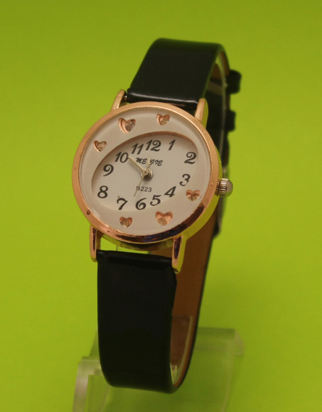 Fash-s280w-r317-1