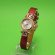 FASH-S280W-R316